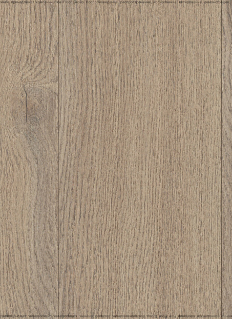 Ламинат Cuberta FAMILY  Дуб Адель>