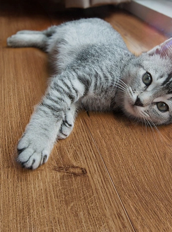 Ламинат Peli VINTAGE  Дуб Натуральный