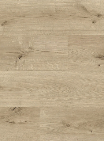 Ламинат Cuberta FAMILY  Дуб Беверли