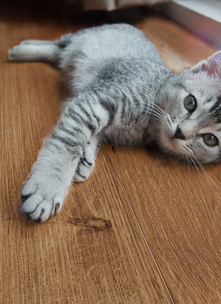 Ламинат Peli VINTAGE Дуб Натуральный