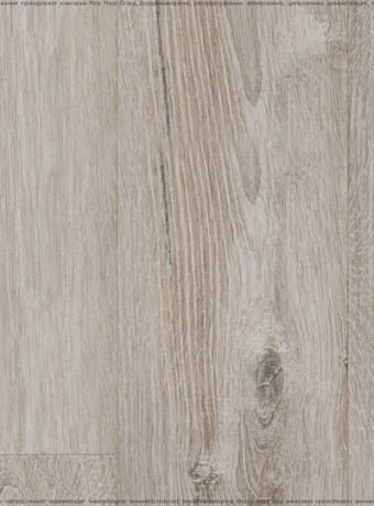 Ламинат Kastamonu Sunfloor 8-33  Сосна Тахо