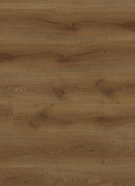 Кварц-винил (LVT) Fine Floor FF-STRONG  Дуб Октопус>