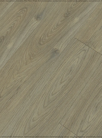 Виниловый ламинат (SPC) FloorBee PROJECT Дуб Вельвет