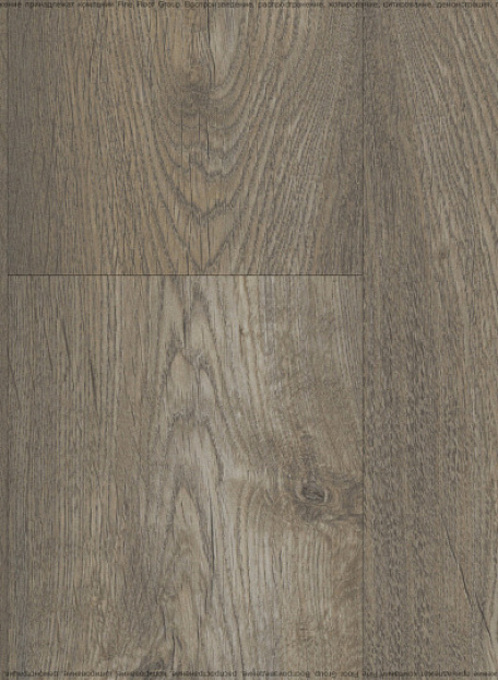 Ламинат Kastamonu Floorpan LAGOON  Вяз Марсель
