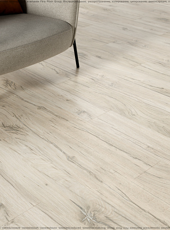 Ламинат Kastamonu Sunfloor 8-33  Дуб Северная Звезда