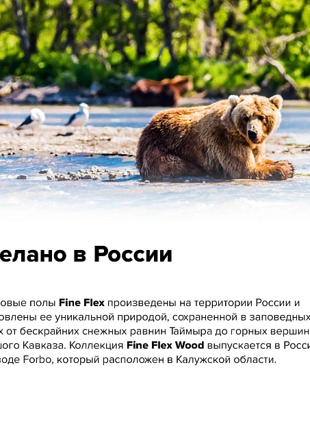 Кварц-винил (LVT) Fine Flex FX-WOOD  Дуб Лапландский