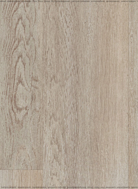 Ламинат Kastamonu Sunfloor 12-33  Дуб Тенерифе