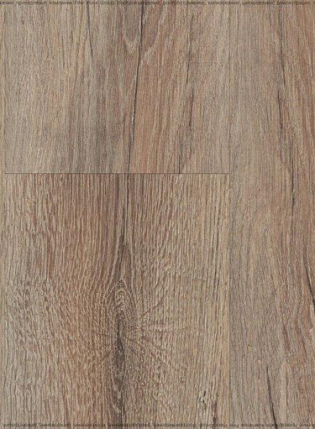 Ламинат Kastamonu Floorpan LAGOON  Сосна Марсала