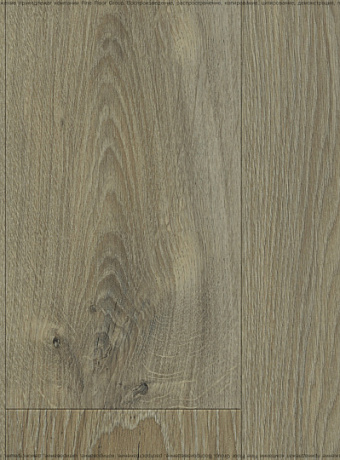 Виниловый ламинат (SPC) FloorBee PROJECT  Дуб Вельвет