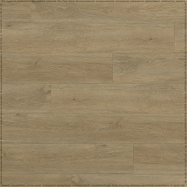 Виниловый ламинат (SPC) Respect FLOOR  Дуб Золотистый