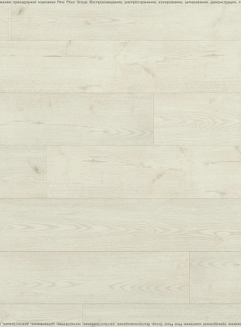Виниловый ламинат (SPC) Respect FLOOR  Дуб Морозный