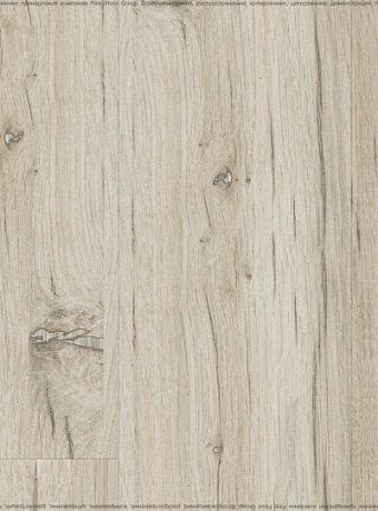 Ламинат Kastamonu Sunfloor 8-33  Дуб Северная Звезда