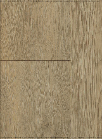 Виниловый ламинат (SPC) Respect FLOOR Дуб Золотистый