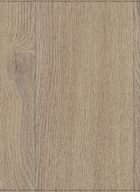 Ламинат Cuberta FAMILY Дуб Адель>