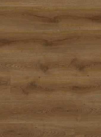 Кварц-винил (LVT) Fine Floor FF-STRONG  Дуб Октопус