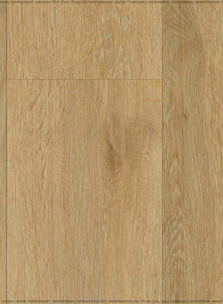 Виниловый ламинат (SPC) Fine Floor R-LINE  Дуб Ситте