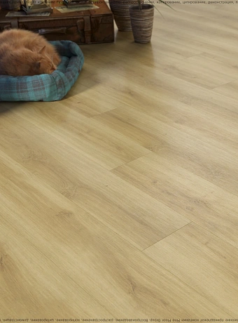 Кварц-винил (LVT) Fine Floor FF-WOOD  Дуб Базель
