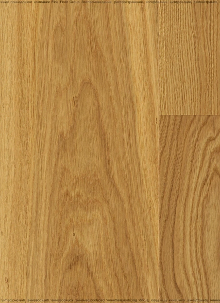 Паркетная доска Blanco Дуб Тренд (Oak Trend) TREND 1П Лак МАТ>