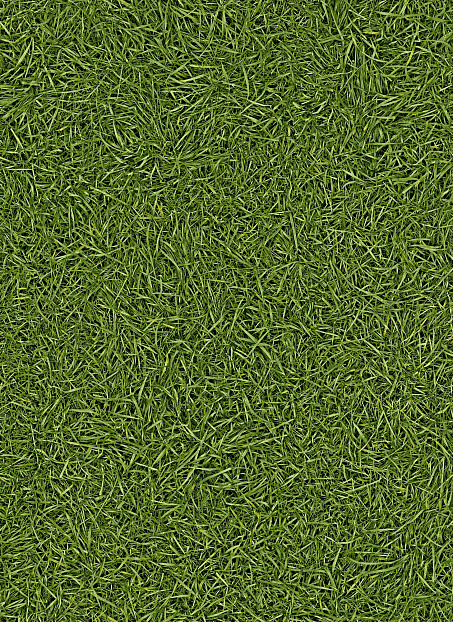 Линолеум рулонный IVC Home VISION Grass T25 шириной 4 м>