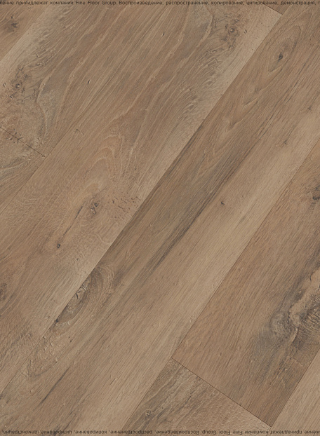 Ламинат Kastamonu Sunfloor 8-33  Дуб Берлин