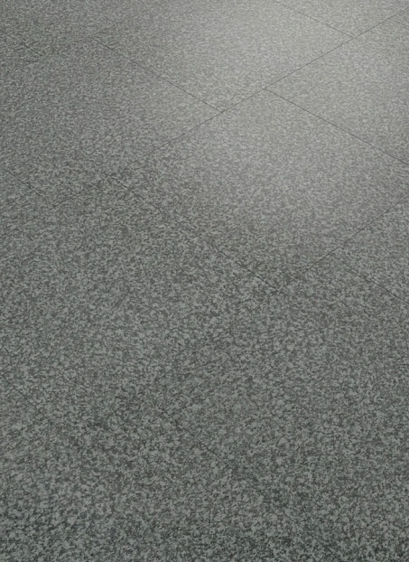 Кварц-винил (LVT) Forbo ЭФФЕКТ СТАНДАРТ (EFFEKTA STANDART) Антрацит Гранит (Anthracite Granite)>