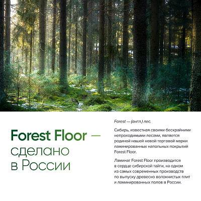 Ламинат Forest Floor SPHERE Blueberry OAK