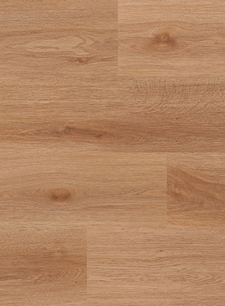 Виниловый ламинат (SPC) Arbiton BICLICK  Дуб Голдберг