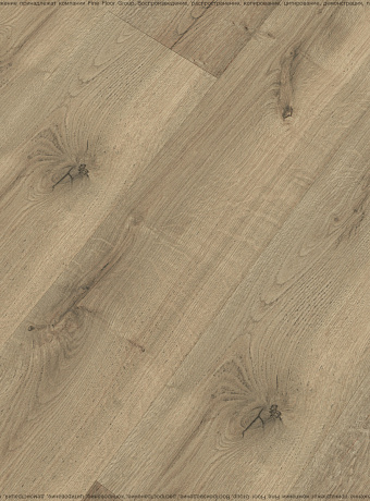 Ламинат Kastamonu Floorpan LAGOON  Дуб Гаэль