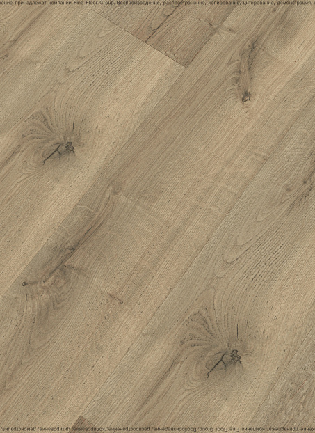 Ламинат Kastamonu Floorpan LAGOON  Дуб Гаэль