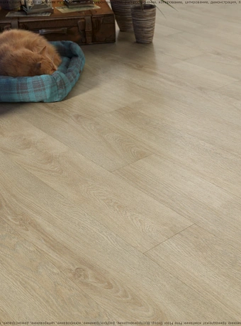 Кварц-винил (LVT) Fine Floor FF-WOOD  Дуб Лиенц