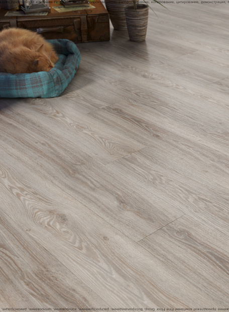 Кварцвиниловая плитка (LVT) Fine Floor FF-WOOD  Дуб Шер