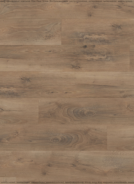 Ламинат Kastamonu Sunfloor 8-33  Дуб Берлин
