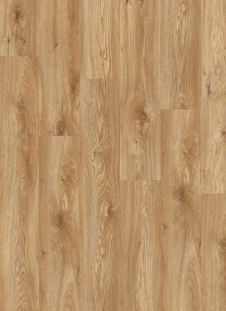 Кварцвиниловая плитка (LVT) Moduleo ROOTS 55 EIR  Sierra Oak 58346Q>