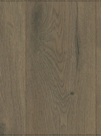 Ламинат FloorBee COSTA  Коста Валенсия