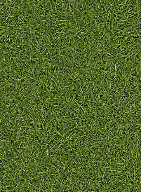 Линолеум рулонный IVC Home VISION Grass T25 шириной 4 м