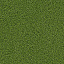 V9120.B24KT25G400 Линолеум VISION GRASS T25, 4 м