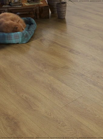 Кварц-винил (LVT) Fine Floor FF-WOOD  Дуб Квебек