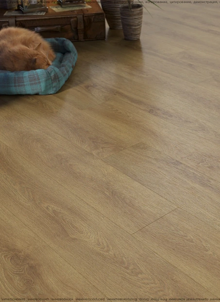 Кварц-винил (LVT) Fine Floor FF-WOOD  Дуб Квебек