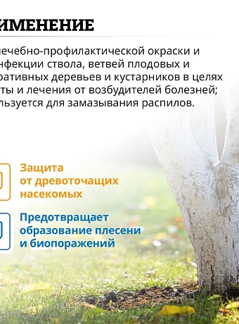 Краска Goldbastik BT10-1,3