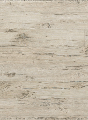 Ламинат Kastamonu Sunfloor 8-33  Дуб Северная Звезда
