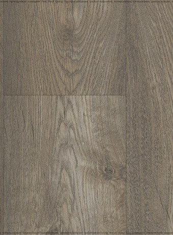 Ламинат Kastamonu Floorpan LAGOON  Вяз Марсель