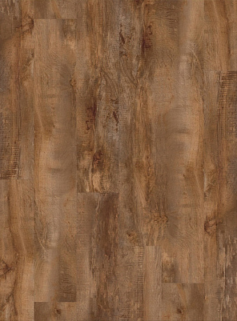 Кварц-винил (LVT) Moduleo TRANSFORM Country Oak 24456
