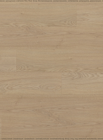 Ламинат WoodStyle VIVA 2021  Дуб Реколета