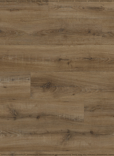 Кварцвиниловая плитка (LVT) Fine Floor FF-LIGHT  Дуб Саар