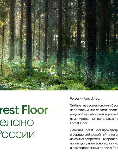 Ламинат Forest Floor SPHERE Cloudberry Oak