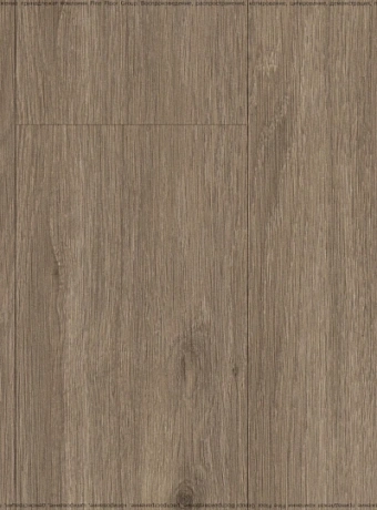 Ламинат Ideal CHOICE  Дуб Футурис