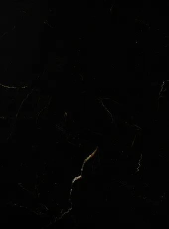 Виниловый ламинат (SPC) Alta Step ROCA  Шерл