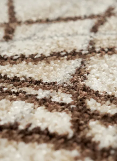 Ковёр Чайная королева ЛОФТ V058,43