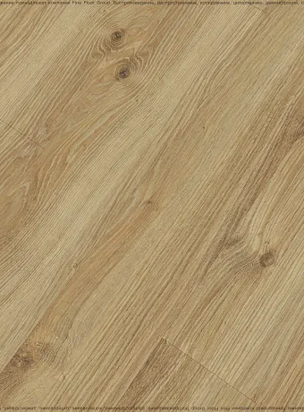 Ламинат Kastamonu Sunfloor 12-33  Дуб Самора