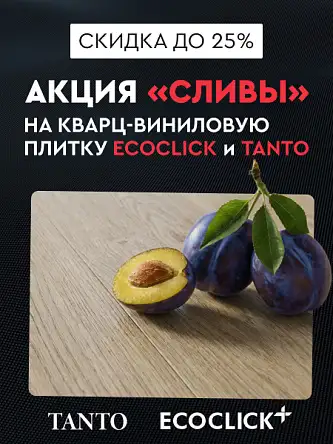 Сливы VKVADRATE